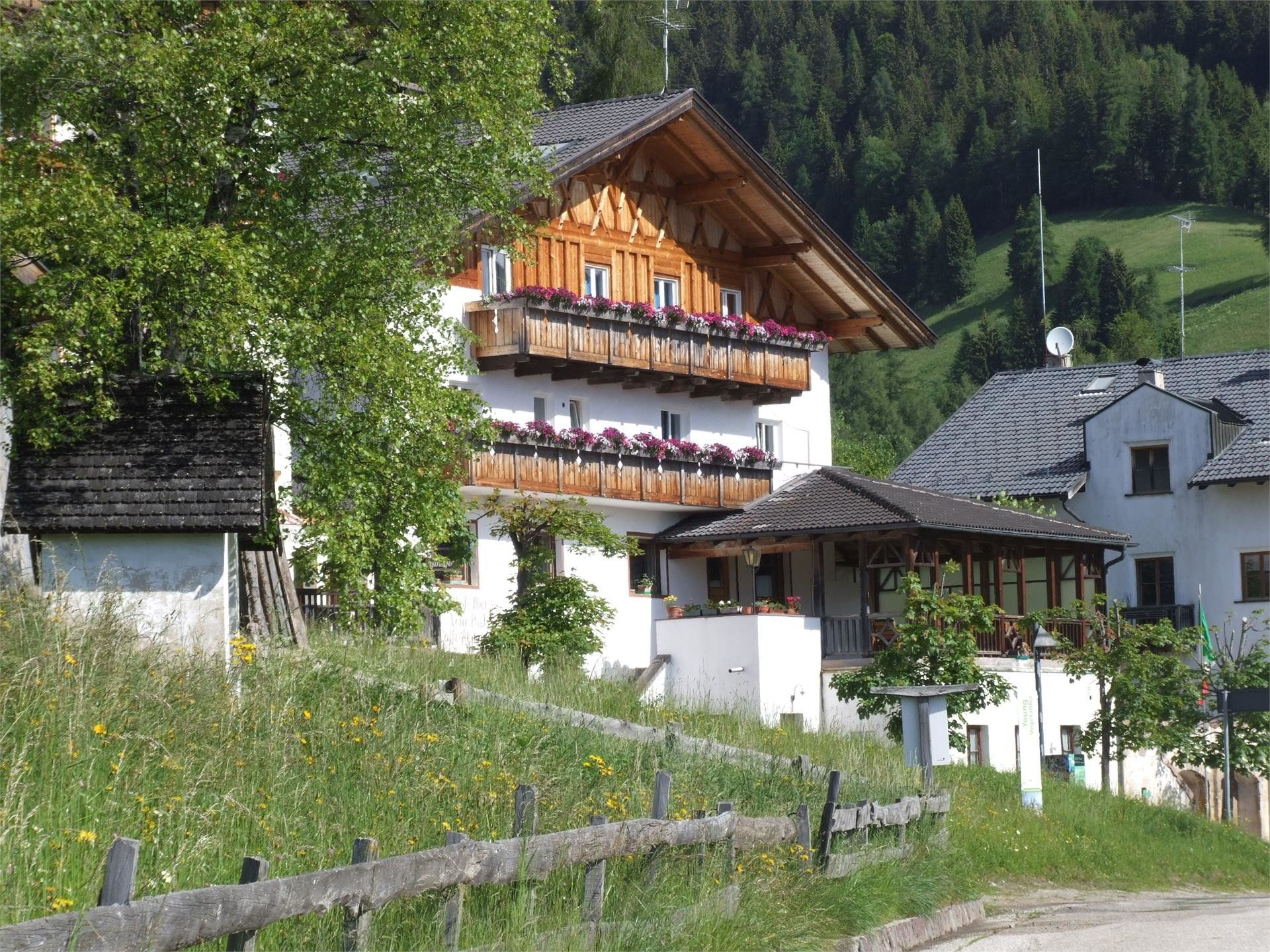 Neue Post in Proveis - Proves