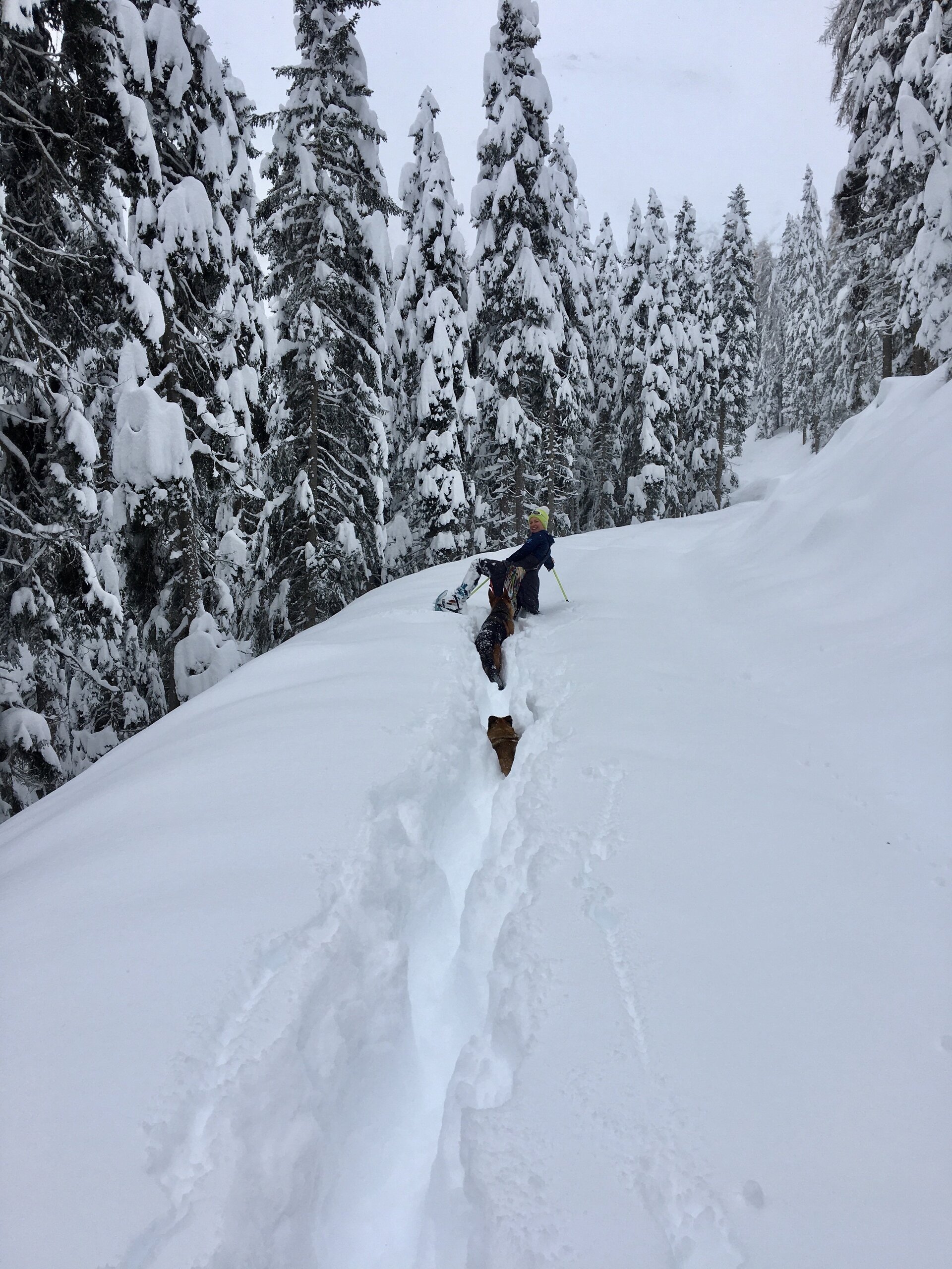 Winter, Schnee, Traumlandschaft, Schneeschuhwandern, Skitouren, Urlaub
