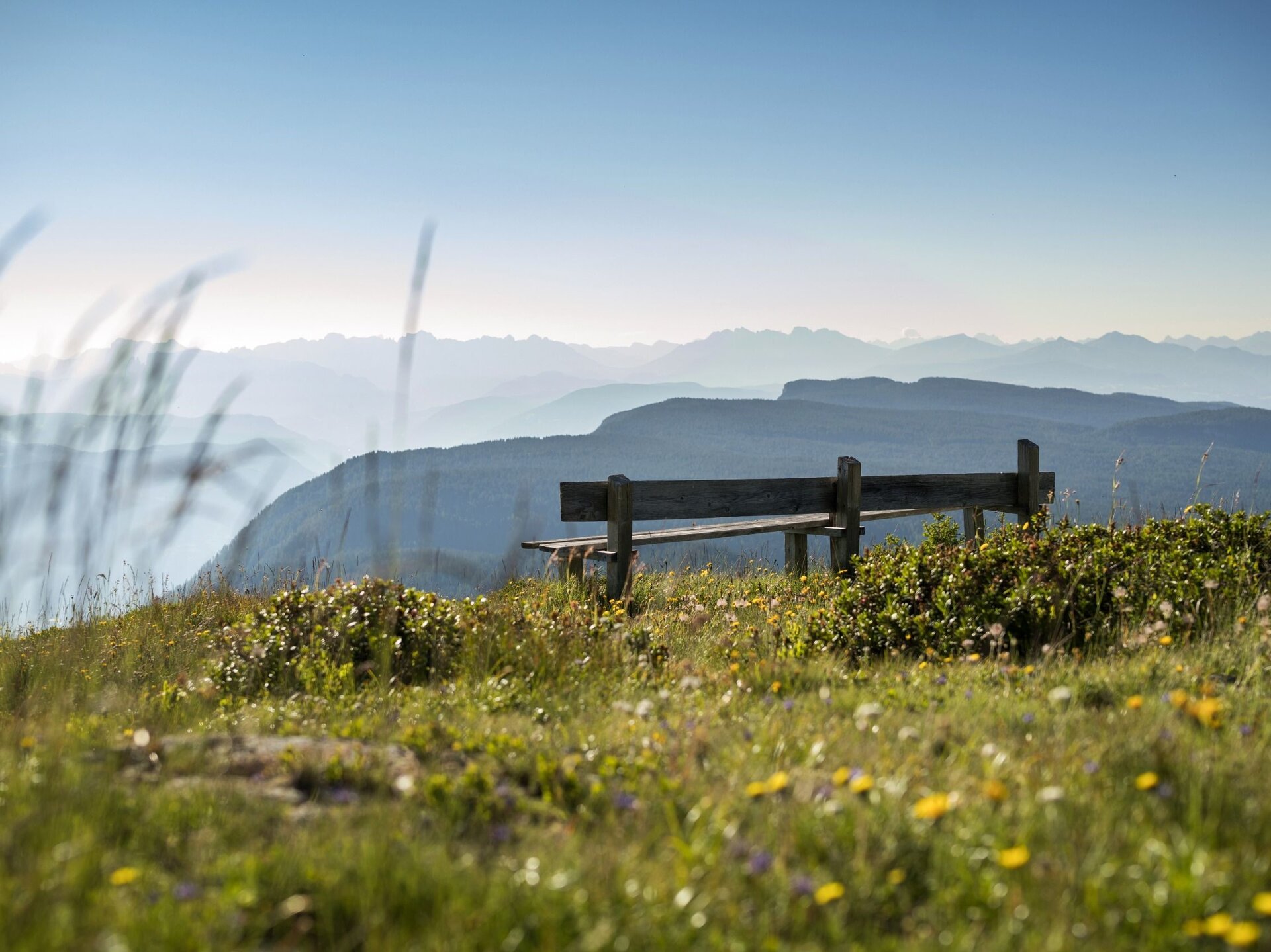 Landscape view from Laugen on the sunny plateau in South Tyrol with view of Monte Penegal, wooden bench in the foreground, South Tyrol